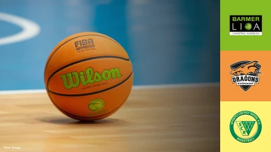 ProB Nord: Dragons Rhöndorf vs. SC Rist Wedel