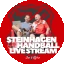 Spvg Steinhagen