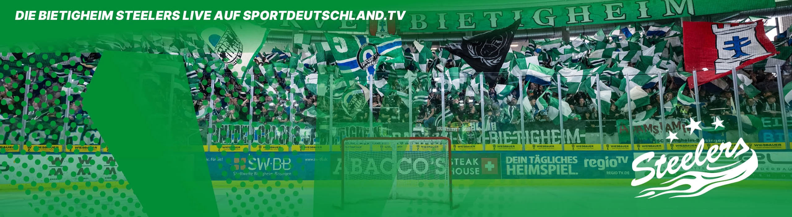 Bietigheim Steelers
