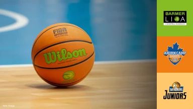 ProB Süd: Ahorn Camp Baskets vs. SKYLINERS Juniors