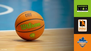 ProB Süd: OrangeAcademy vs. Ahorn Camp Baskets