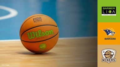 ProB Nord: Seawolves Academy vs. ETB Miners