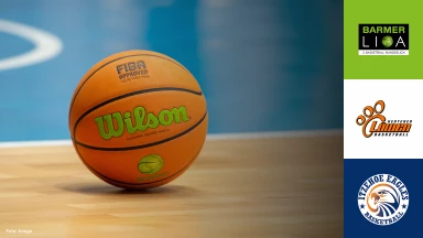 ProB Nord: Hertener Löwen vs. Itzehoe Eagles