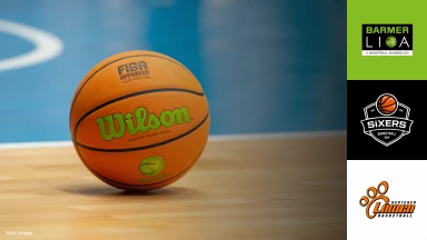 ProB Nord: BSW Sixers vs. Hertener Löwen