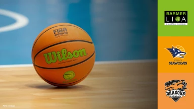 ProB Nord: Seawolves Academy vs. Dragons Rhöndorf