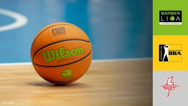 ProB Süd: Porsche BBA Ludwigsburg vs. SV Fellbach Flashers