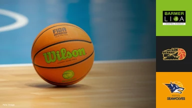 ProB Nord: LOK BERNAU vs. Seawolves Academy