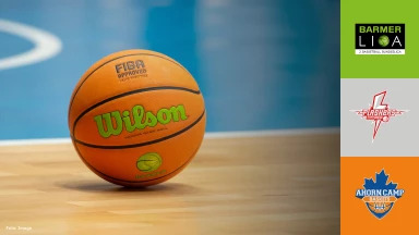 ProB Süd: SV Fellbach Flashers vs. Ahorn Camp Baskets