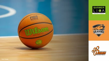 ProB Nord: Dragons Rhöndorf vs. Hertener Löwen