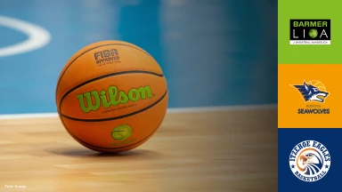 ProB Nord: Seawolves Academy vs. Itzehoe Eagles