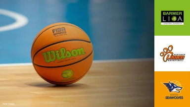 ProB Nord: Hertener Löwen vs. Seawolves Academy