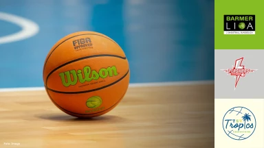 ProB Süd: SV Fellbach Flashers vs. TSV Oberhaching Tropics