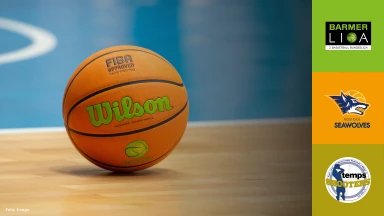 ProB Nord: Seawolves Academy vs. TSV Neustadt temps Shooters