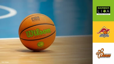 ProB Nord: Iserlohn Kangaroos vs. Hertener Löwen