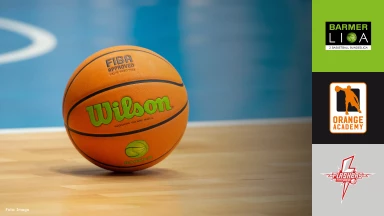 ProB Süd: OrangeAcademy vs. SV Fellbach Flashers