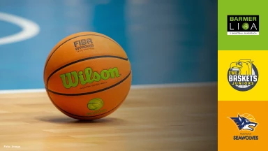 ProB Nord: Baskets Juniors TSG Westerstede vs. Seawolves Academy