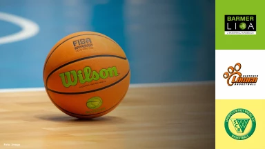 ProB Nord: Hertener Löwen vs. SC Rist Wedel