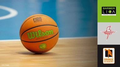 ProB Süd: SV Fellbach Flashers vs. OrangeAcademy