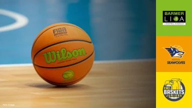 ProB Nord: Seawolves Academy vs. Baskets Juniors TSG Westerstede