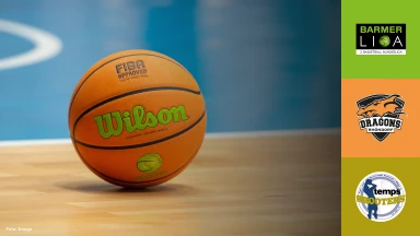 ProB Nord: Dragons Rhöndorf vs. TSV Neustadt temps Shooters