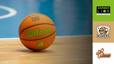 ProB Nord: ETB Miners vs. Hertener Löwen