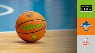 ProB Süd: Ahorn Camp Baskets vs. SV Fellbach Flashers