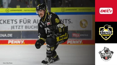 DEL2: Krefeld Pinguine vs. Eisbären Regensburg