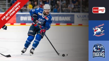 For international fans only - DEL: Adler Mannheim vs. Straubing Tigers