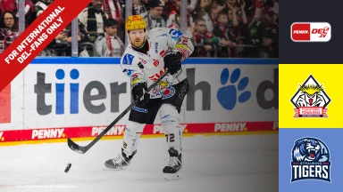 For international fans only - DEL: Pinguins Bremerhaven vs. Straubing Tigers