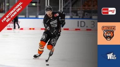 For international fans only - DEL: Grizzlys Wolfsburg vs. Schwenninger Wild Wings