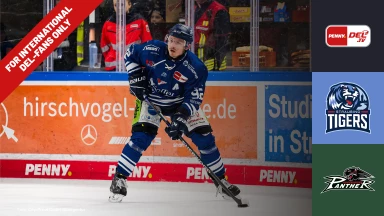For international fans only - DEL: Straubing Tigers vs. Augsburger Panther