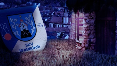 2. Bundesliga Süd Männer / SKV Waldkirch - TSV Denkendorf