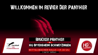 3. Liga: Staffel Süd - TuS Fürstenfeldbruck vs. HG Oftersheim/Schwetzingen