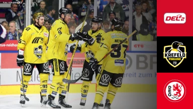 DEL2: Krefeld Pinguine vs. Düsseldorfer EG - Mit Warm-Up Stream