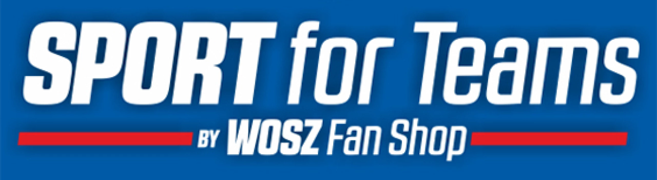 HC Leipzig Frauen II