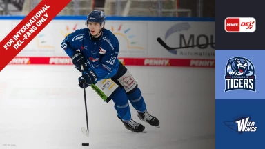 For international fans only - DEL: Straubing Tigers vs. Schwenninger Wild Wings