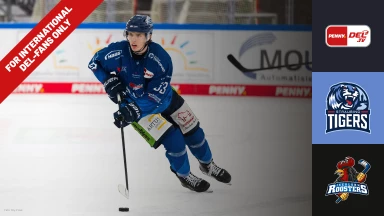 For international fans only - DEL: Straubing Tigers vs. Iserlohn Roosters
