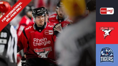 For international fans only - DEL: Kölner Haie vs. Straubing Tigers