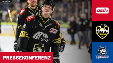 DEL2: Krefeld Pinguine vs. EHC Freiburg | Pressekonferenz
