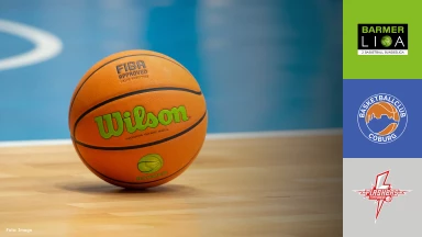 ProB Süd: BBC Coburg vs. SV Fellbach Flashers