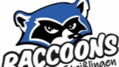 TuS Herren 1 vs. HSG Willstätt/Hanauerland