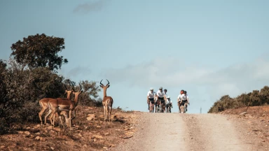 Brandneues 7-tägiges Gravel-Bike-Rennen - Nedbank Gravel Burn 2025 (RSA)