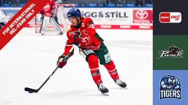 For international fans only - DEL: Augsburger Panther vs. Straubing Tigers