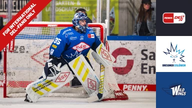 For international fans only - DEL: Dresdner Eislöwen vs. Schwenninger Wild Wings