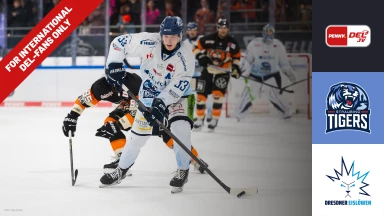 For international fans only - DEL: Straubing Tigers vs. Dresdner Eislöwen