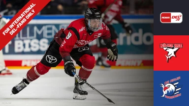 For international fans only - DEL: Kölner Haie vs. Adler Mannheim
