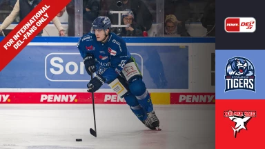 For international fans only - DEL: Straubing Tigers vs. Kölner Haie
