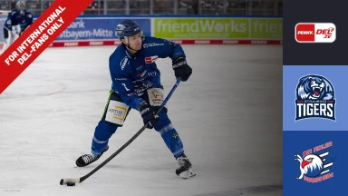 For international fans only - DEL: Straubing Tigers vs. Adler Mannheim