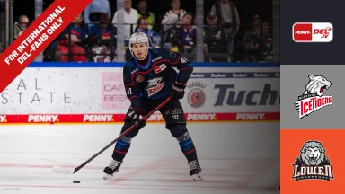 For international fans only - DEL: Nürnberg Ice Tigers vs. Löwen Frankfurt