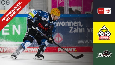 For international fans only - DEL: Fischtown Pinguins Bremerhaven vs. Augsburger Panther